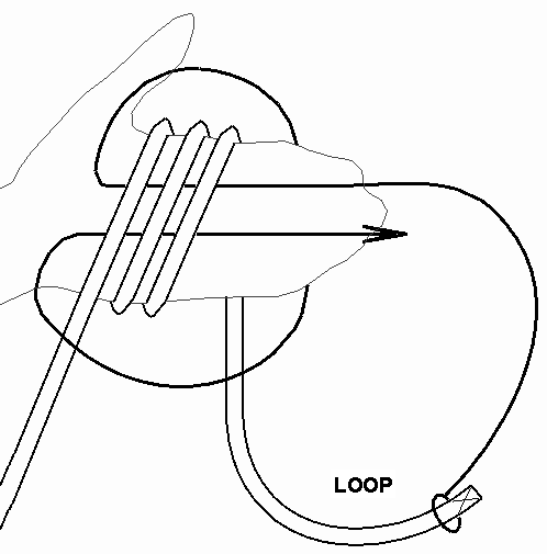 Larks Loop and Double Larks Loop
