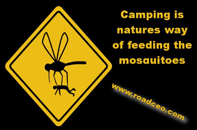 camping natures way of feeding the mosquitoes
