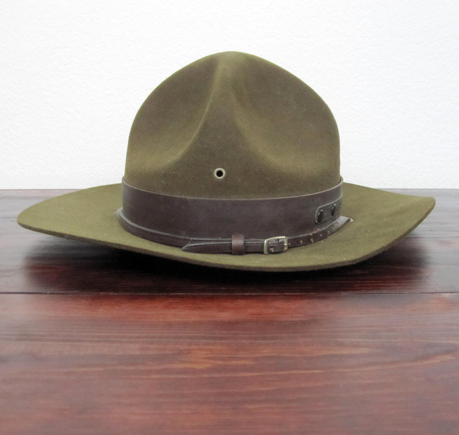 boy scout campaign hat
