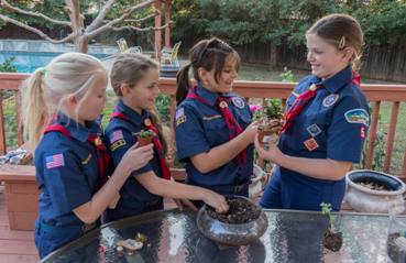 Girl Scouts, the BSA & Lone Scouting